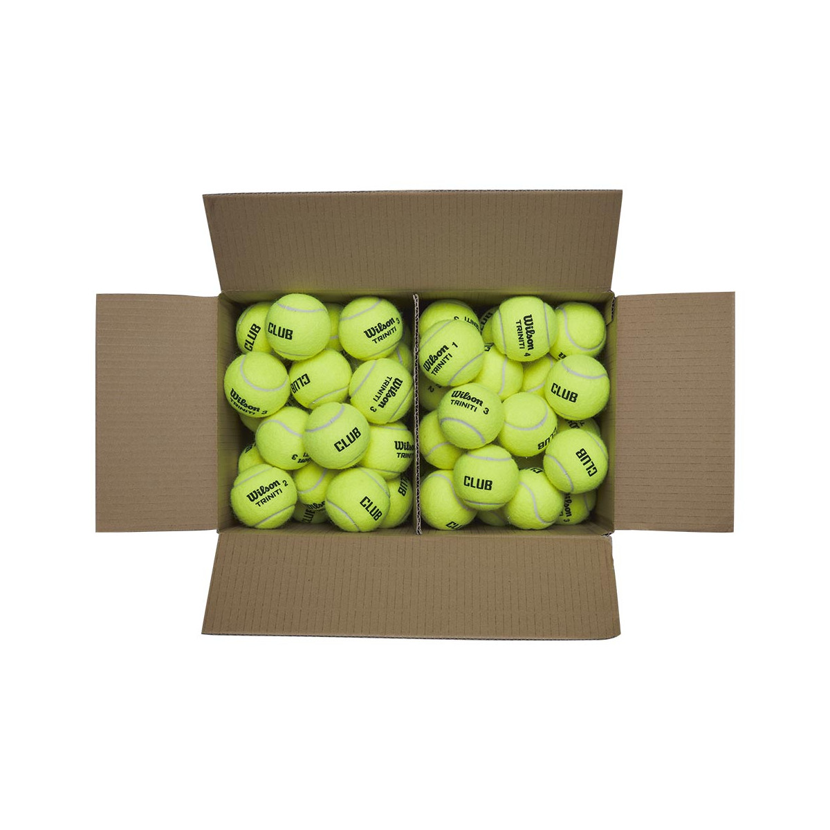 Cartone 18 tubi da 4 palline Wilson Triniti