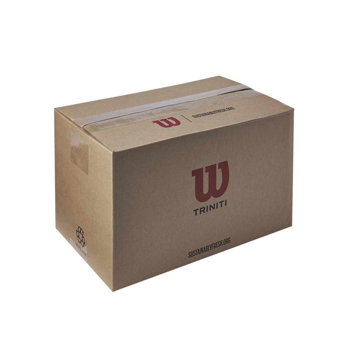 Cartone 18 tubi da 4 palline Wilson Triniti