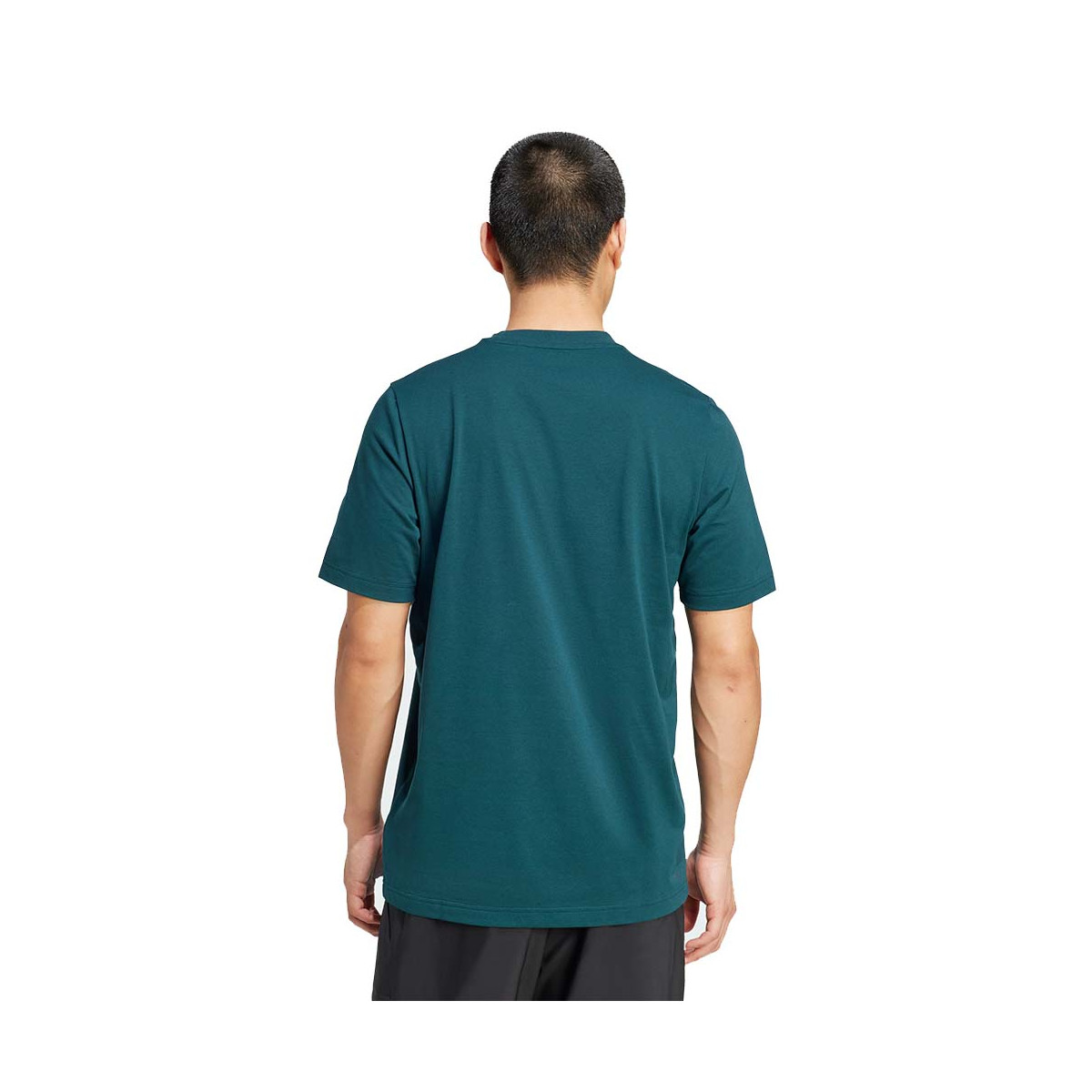 T-Shirt Adidas Club Graph Printed