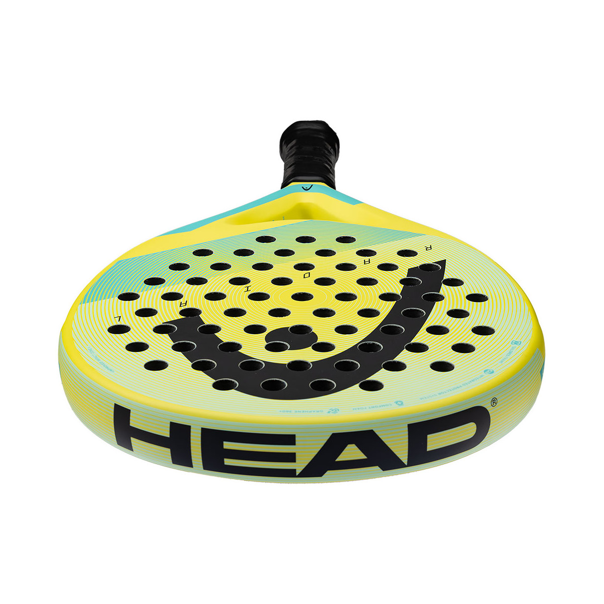 Racchetta Head Vector 2025