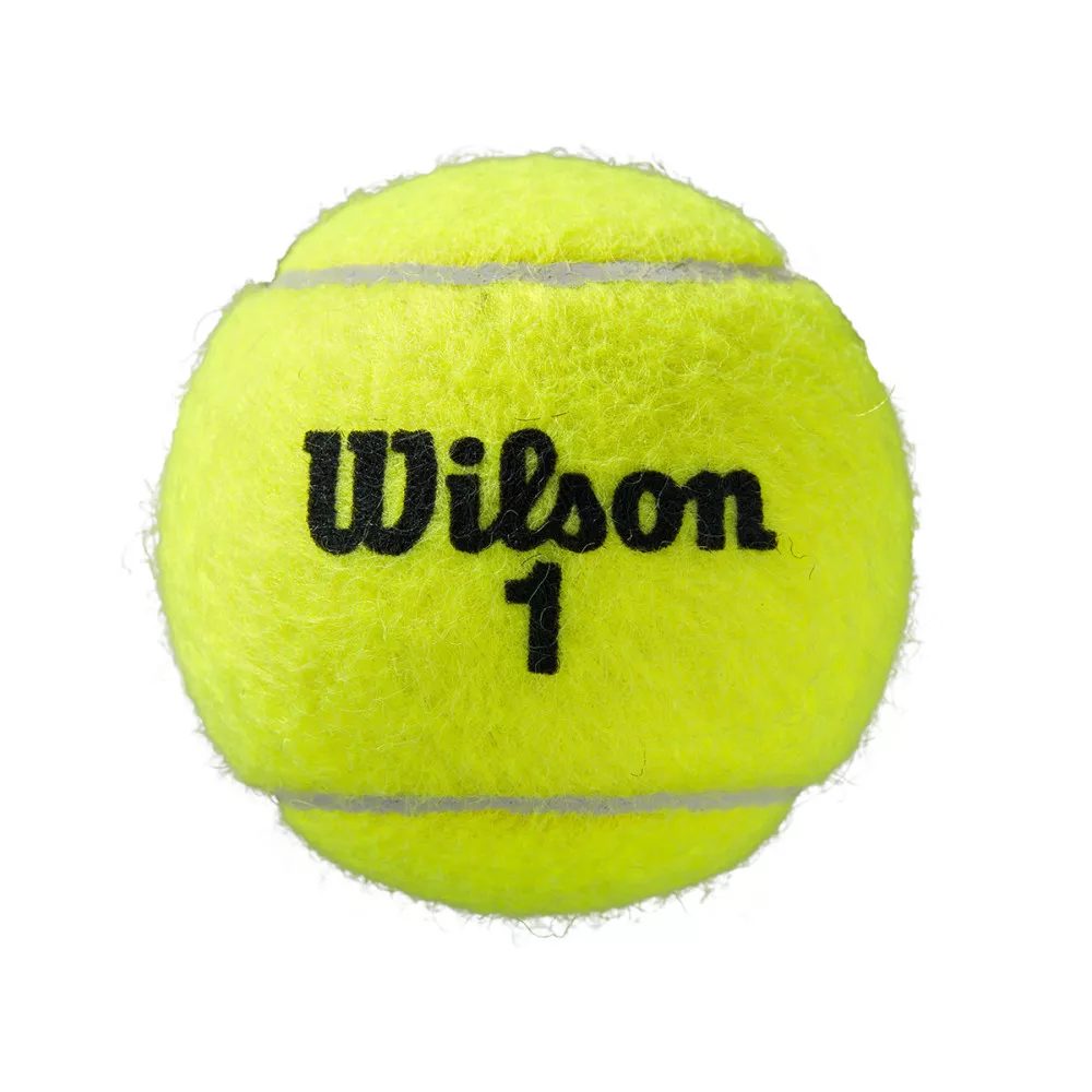 Box of 18 cans of 4 balls Wilson Rolland Garros Clay