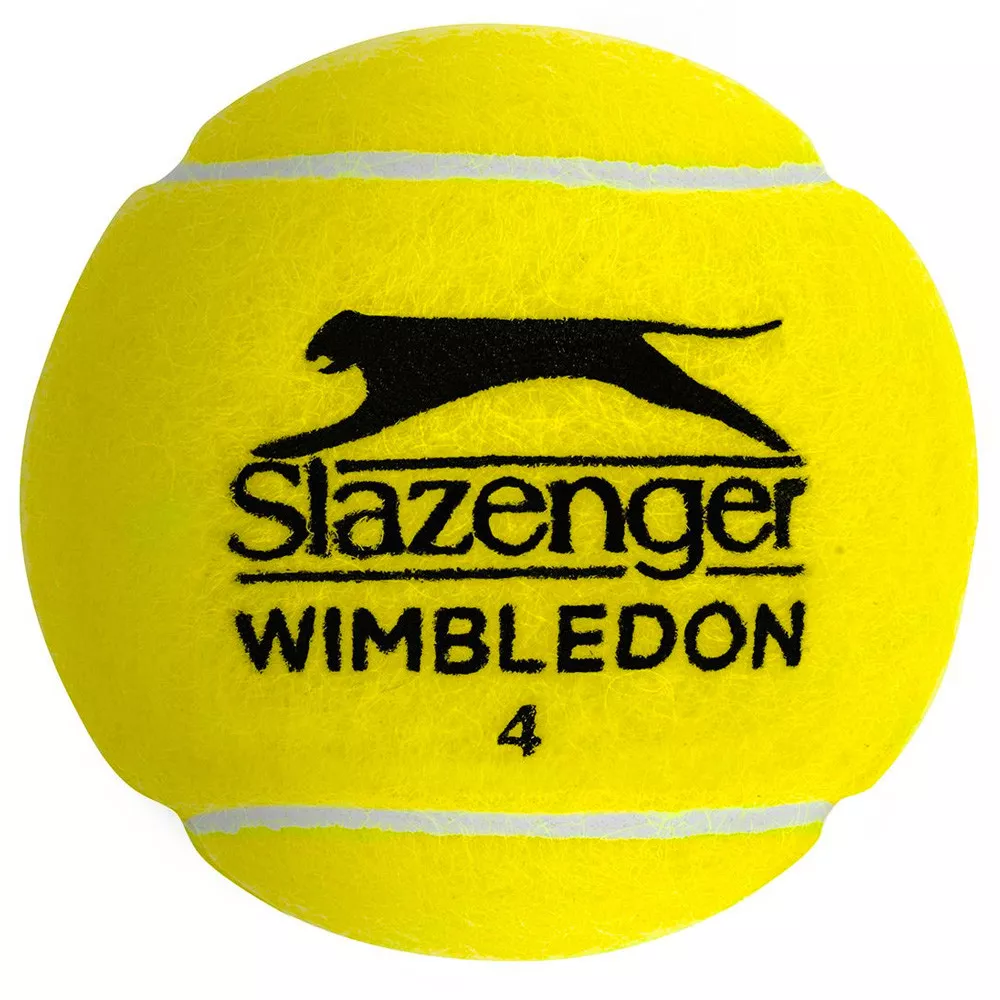 Cartone 18 tubi da 4 palline Dunlop Fort All Court