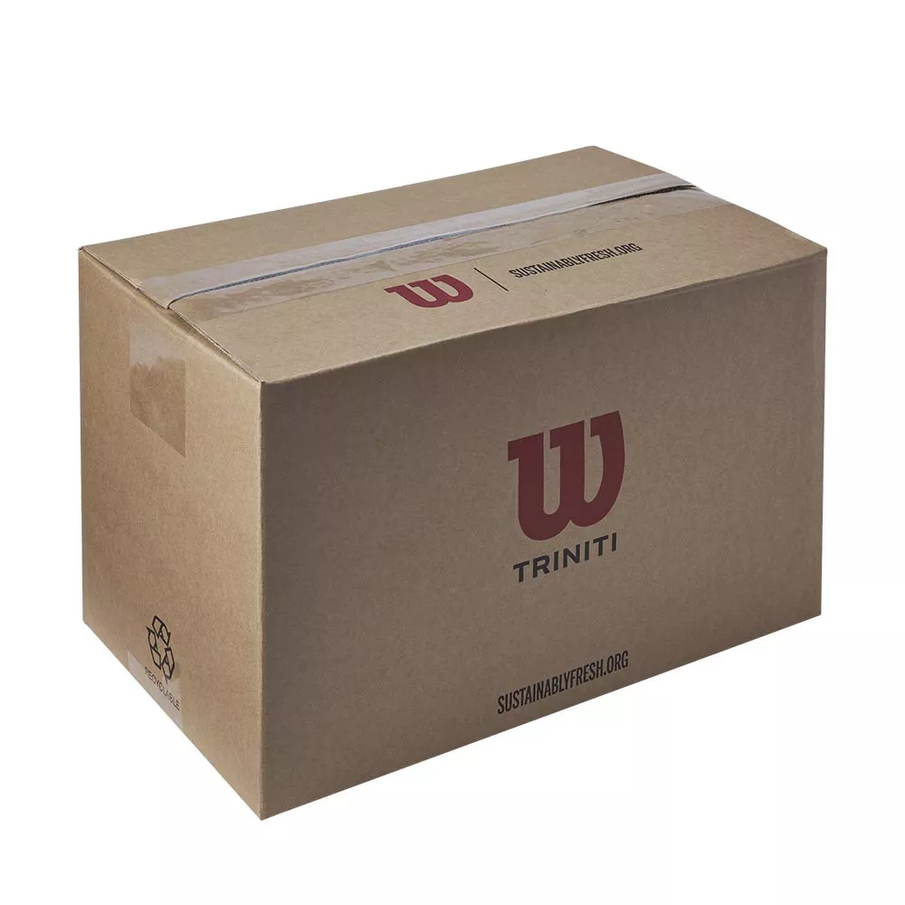 Cartone 18 tubi da 4 palline Wilson Triniti
