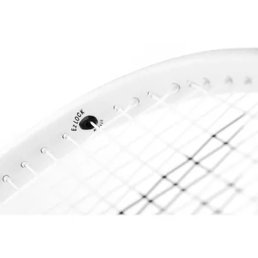 Racchette Tecnifibre T-Fight 300 (300g)