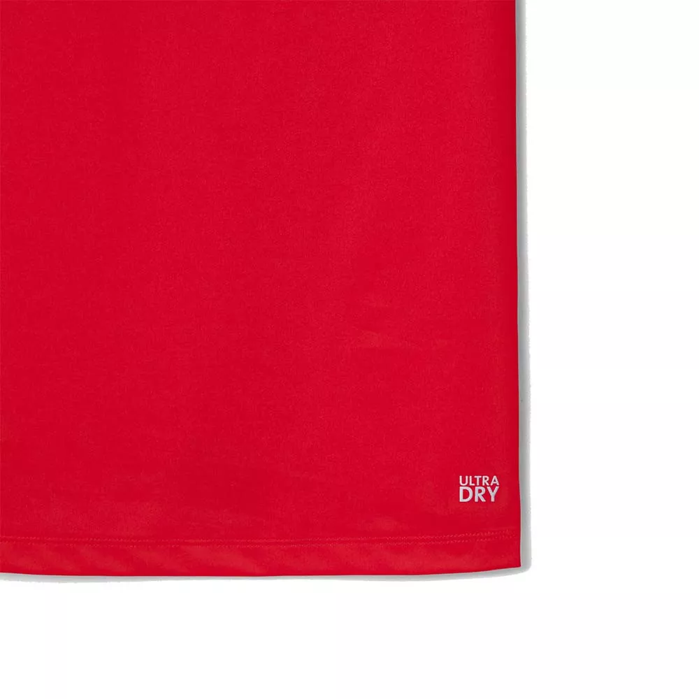 Polo Lacoste Tennis Novak Djokovic Player Rossa / Bordeaux
