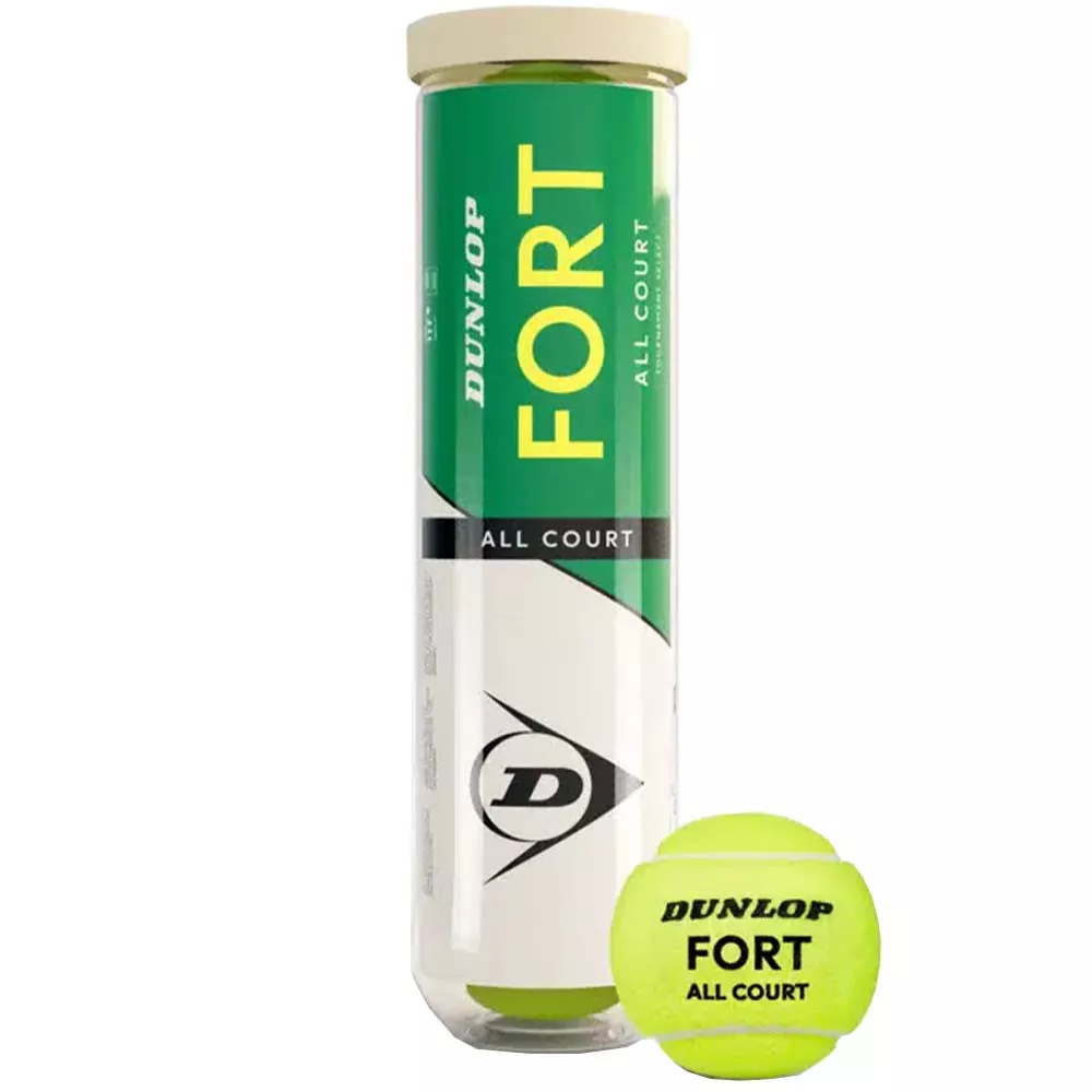 Tubo da 4 Palline Dunlop Fort All Court