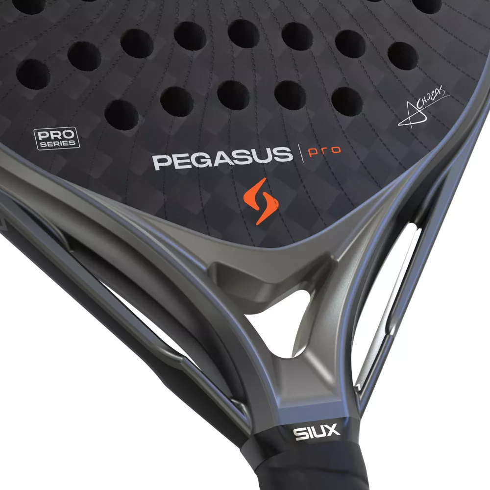 Racchetta Siux Pegasus Pro 2026
