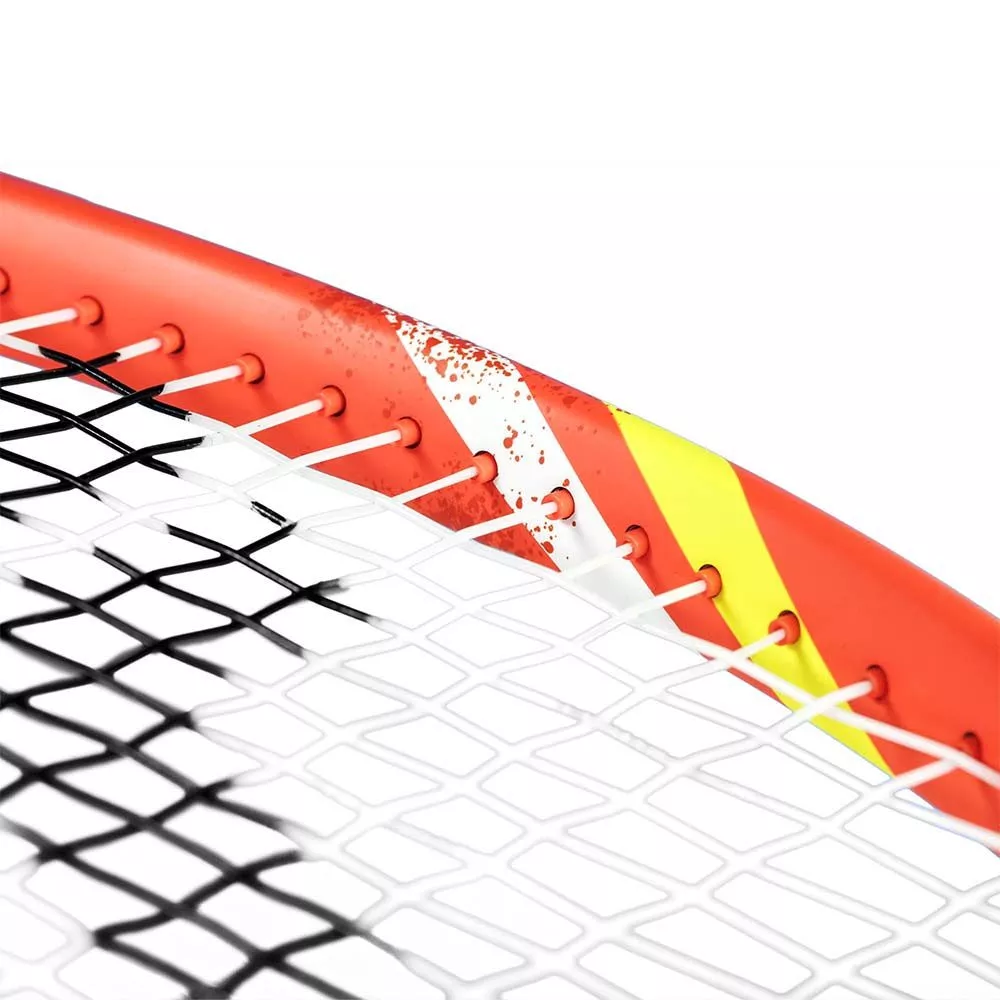 Racchetta Tecnifibre T-Fight 300S IG (300g)