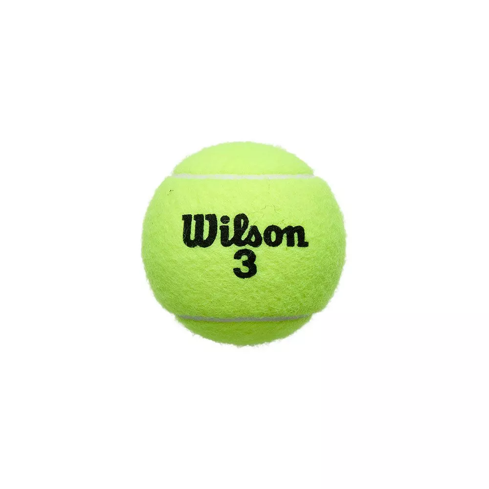 Scatola da 18 Tubi di 4 Palline Wilson Roland Garros All Court